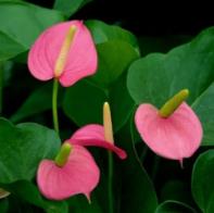 活到33岁，被一些人喜欢过，也喜欢过一些人