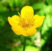 相信自己值得一切美好的东西