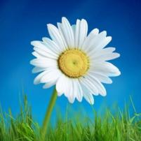 有时候你在不经意间就突然下起了雨