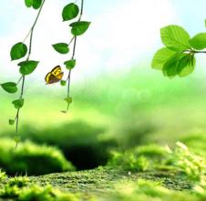 发现自己最近总爱多想