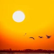 今天闲来无事，看了看之前写的日志感叹万分