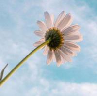 生命中美好的词有很多