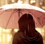 不如让我们慢下来细细去体味