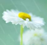 愿此生，风雨相依