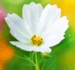 每一夜的不眠，都是为远方点亮的灯塔