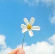 再也不会有月光，落在朝北的窗台