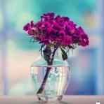 我们年轻岁月的阶段性再见