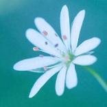 突然发现我的青春不再了