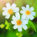 做你内心的“小王子”