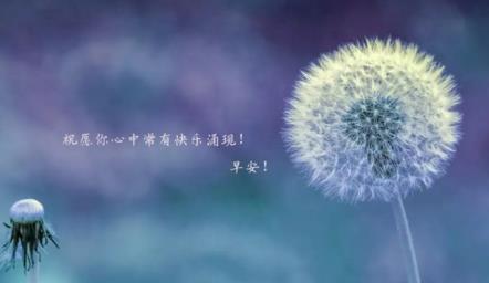 xinnianjy